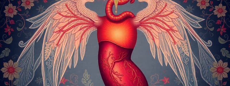 Blood Functions and Pressure Overview