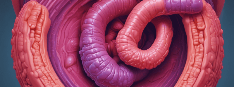 Ulcerative Colitis Overview