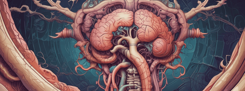 Digestive and Nervous System