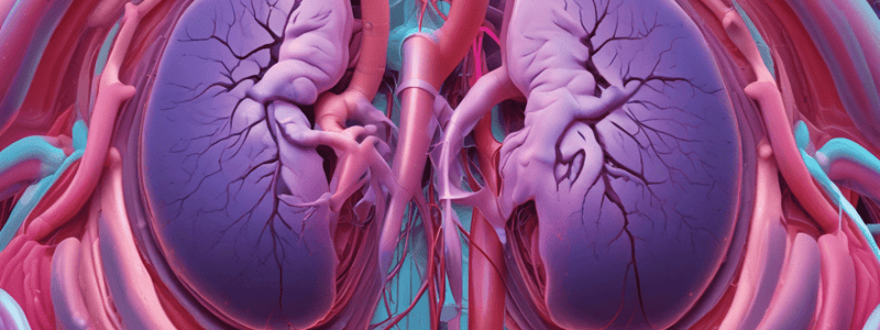 Pulmonary Interventions in Lung Abscess Management