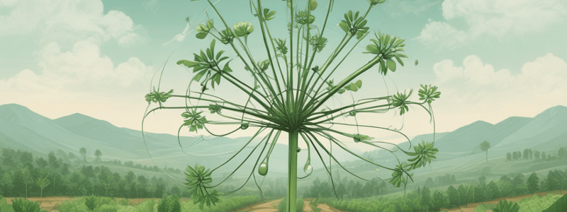 Plant Structure and Function in Agriculture