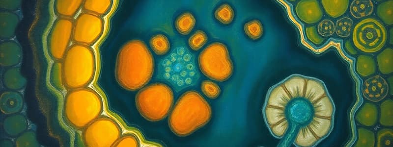 Cell Structure and Organelles