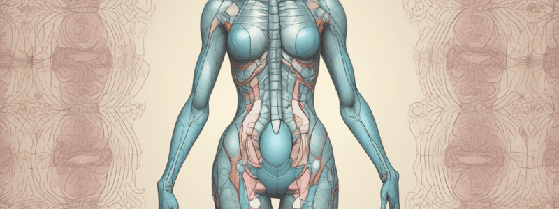 Pelvic Stability and Vertebral Column