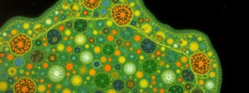 Plasma Membrane Functions and Structure