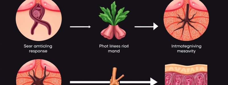 Mod1 Phases of Wound Healing