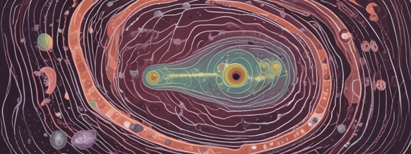 Cycle de vie de Toxoplasma gondii