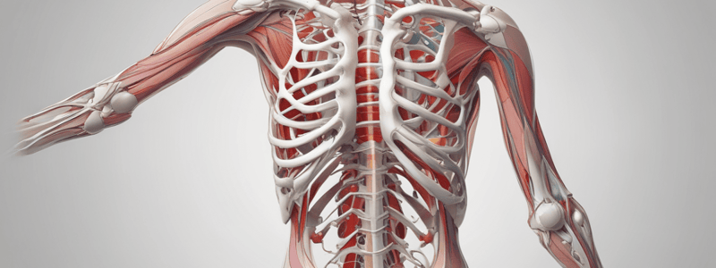 Physiology of Musculoskeletal System Lecture 5