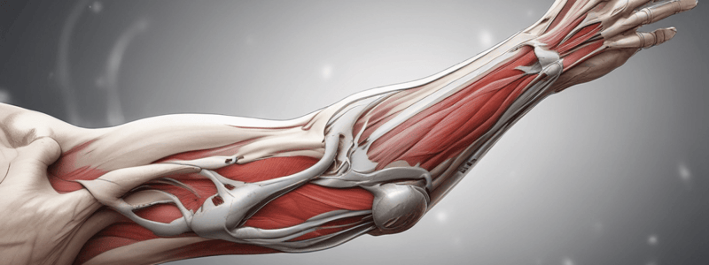 Elbow Biomechanics and Anatomy