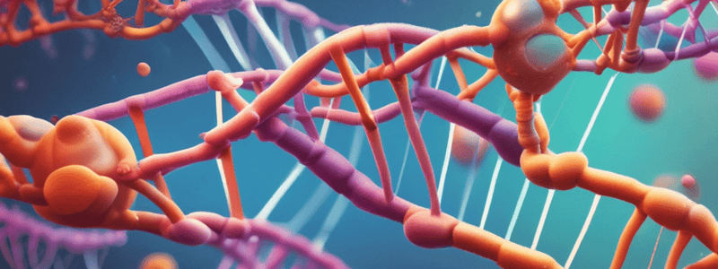 Understanding Protein Synthesis