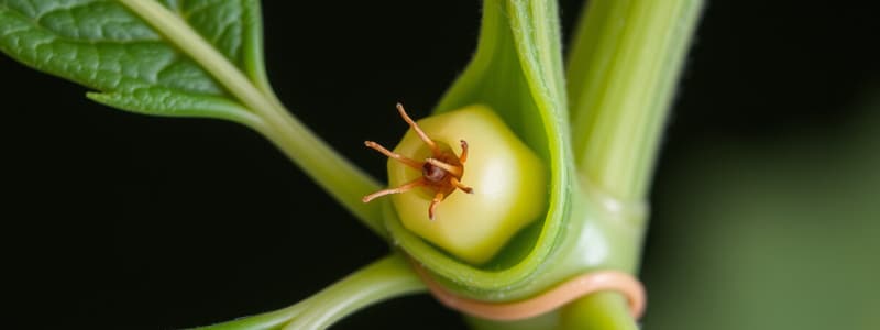 Plant Embryo and Seed Development