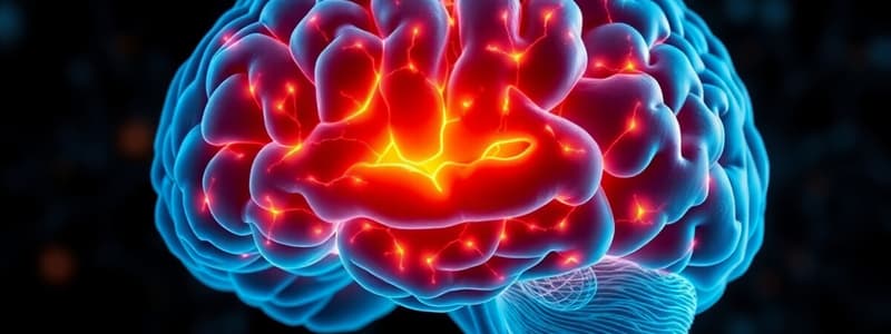 Neuroscience Basics Quiz