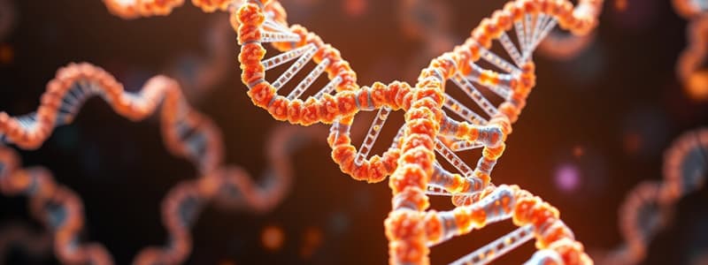 Lecture 5 protein structure and function