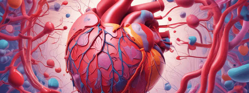 Cardiac Function and Regulation Quiz