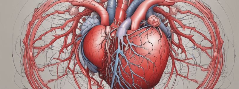 Heart Physiology: Sequence of Excitation