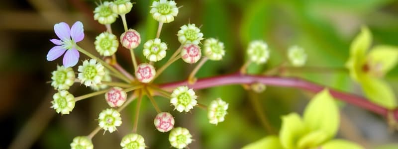 Botany Class Quiz on Nonvascular Plants