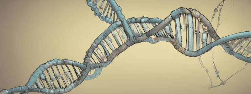 DNA Repair Mechanisms Quiz