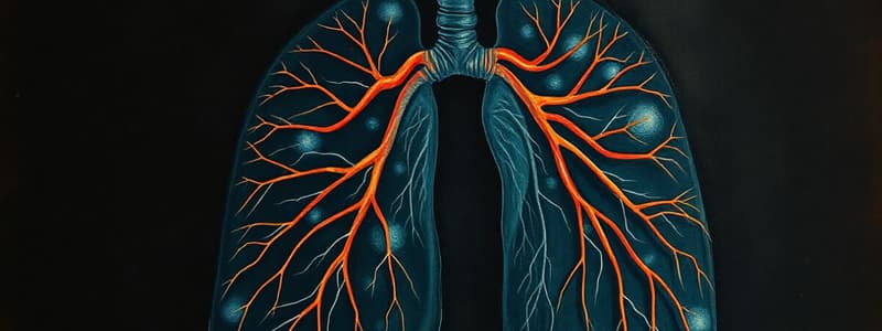 Respiratory System Overview