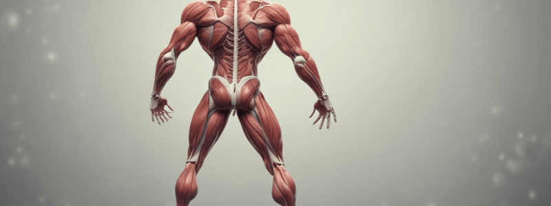 WK 13: Skeletal Muscle Aspects of Fatigue