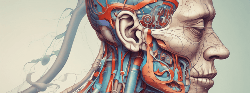 Sinusitis and Respiratory System