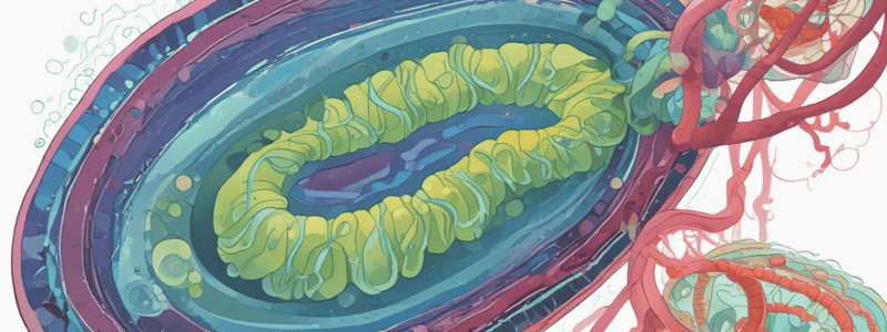 Genetic Exchange in Prokaryotes Quiz