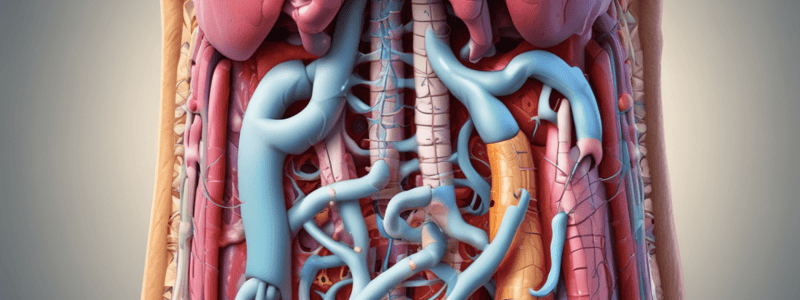 Digestive System Overview