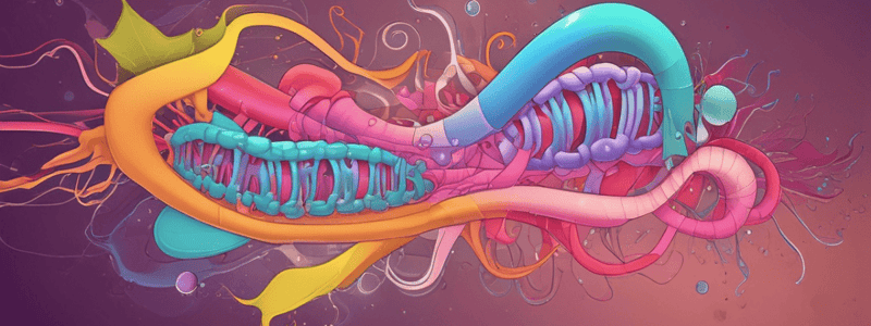 Enzymes of Protein Digestion