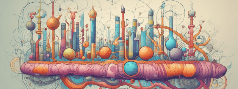 Cellular Respiration and Glucose Metabolism