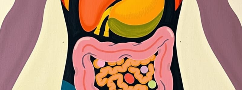 Digestive System Overview