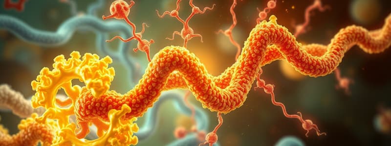 Protein Hormones Synthesis Quiz