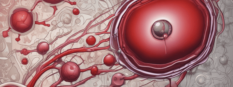 Macrocytic Anemias: Types and Diagnosis