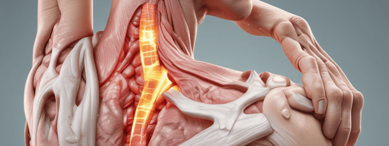 Shoulder Instability and Recurrent Instability Classification