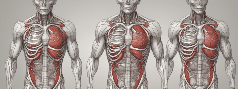 Anatomy of the Heart