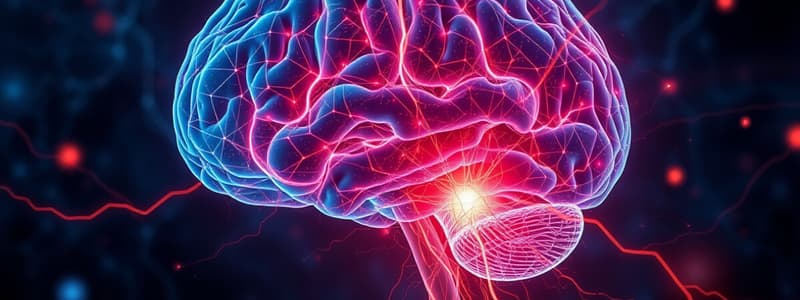 Cortical Plasticity and Pain Pathways