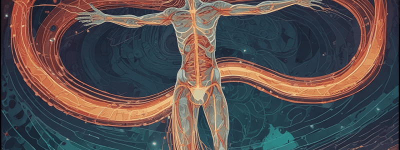 Peripheral Neuropathy Clinical Presentation