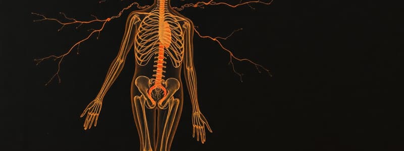 Endocrine System Activity Mechanisms Quiz