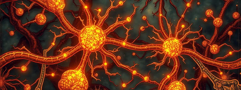 Neuroscience Chapter 5: Synaptic Transmission