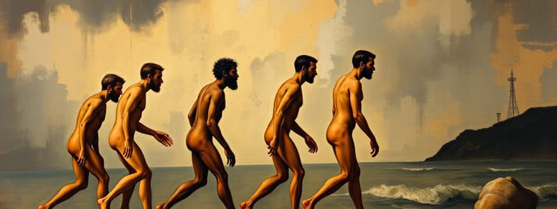 Human Evolution Theories Quiz