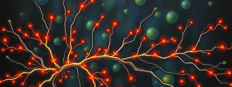 Pain Pathways and Opiates Overview