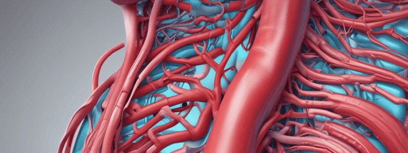 Anatomy of the Aorta and Aortic Pathologies