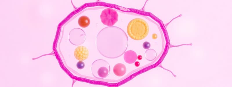 Week 3 - Cell Structure and Function Quiz