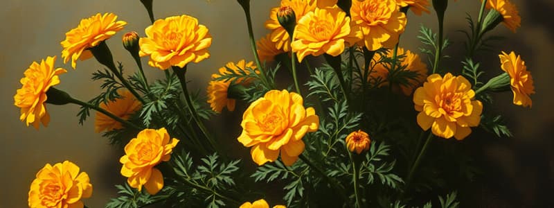 Marigolds by Eugenia W. Collier Quiz