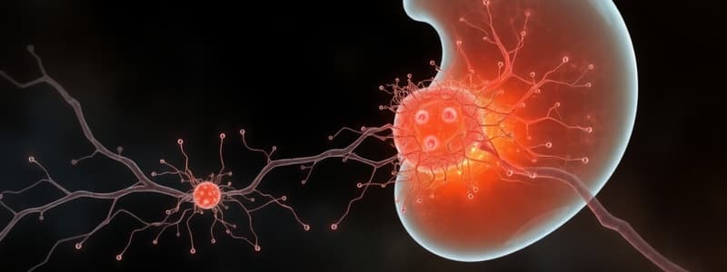 Embryology: Early Development and Germ Layers