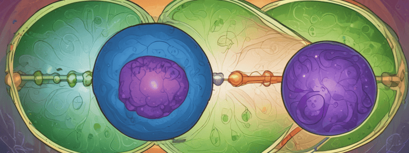 Mendelian Inheritance and Probability Laws