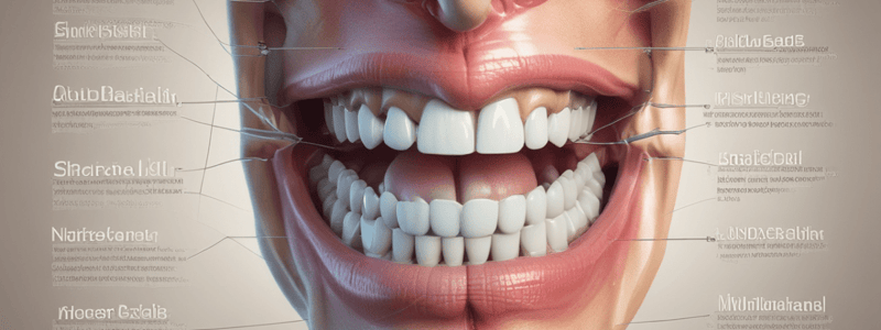 Anatomía dental: sonrisa ideal