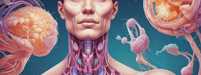 Thyroid Hormone Synthesis