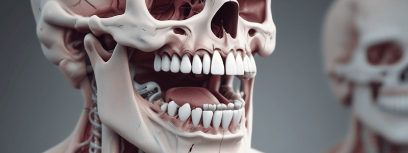 Anatomia Dental: Oclusal Parcial e Total