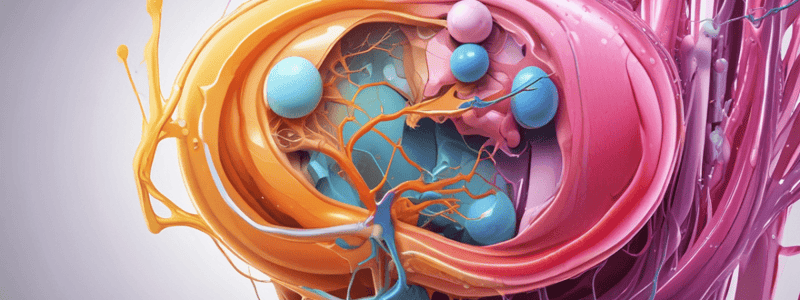 Urinary System Functions and Abnormalities Quiz