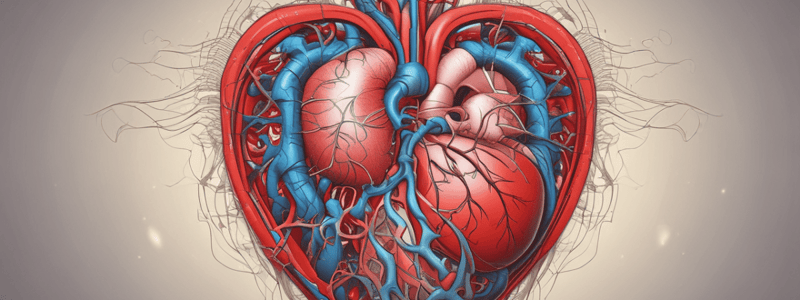 Cardiovascular System Overview