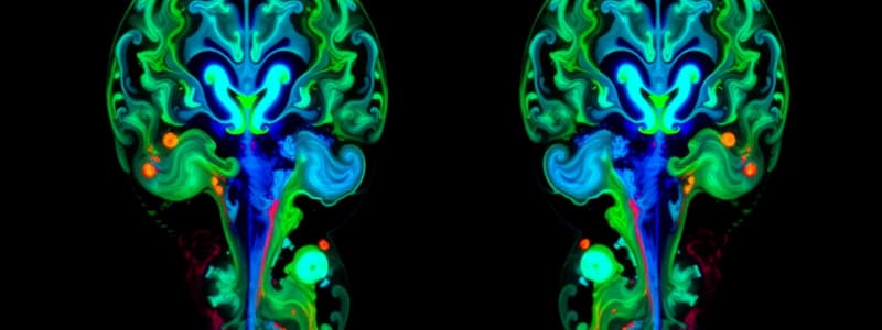 Técnicas de Neuroimagen Estructural: TC y RM