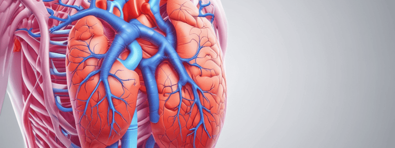 Pulmonary Circulation and Respiratory Membrane Quiz